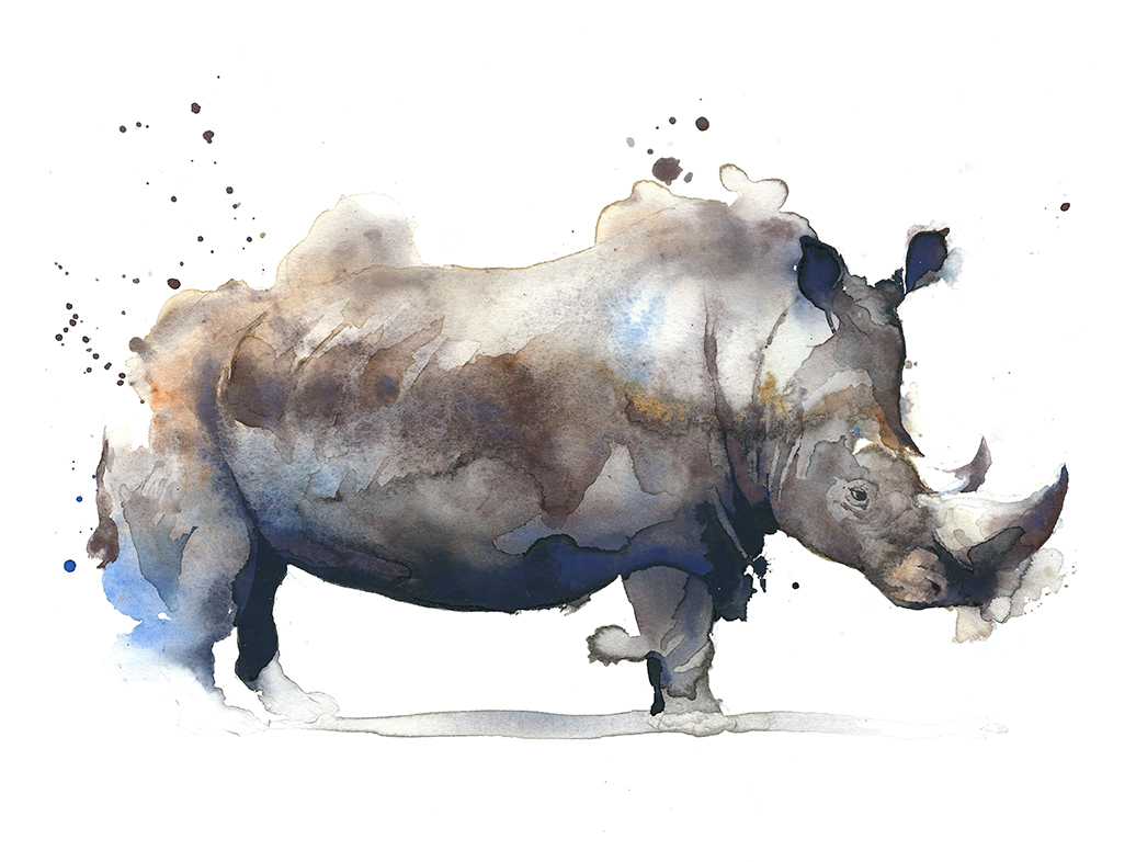 Rhinoceros in Aquarell